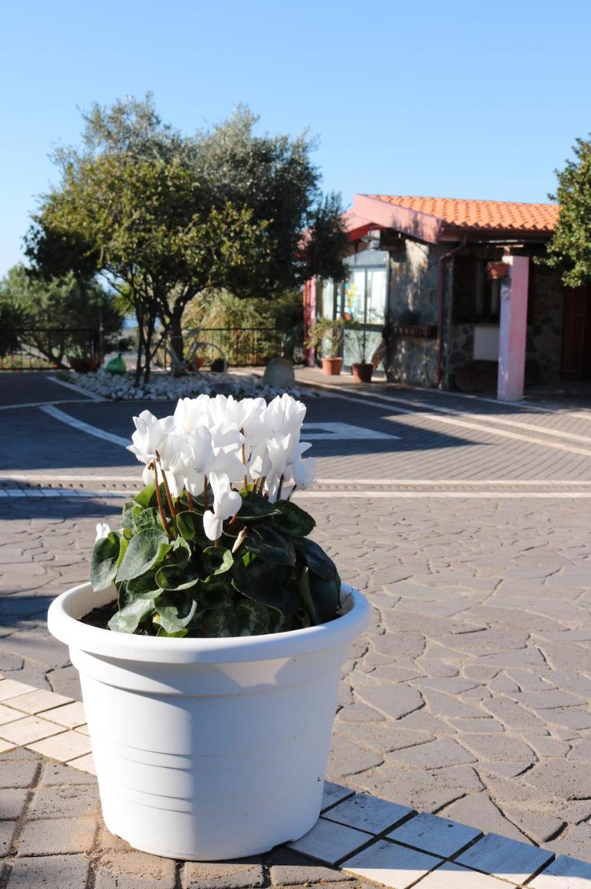 ホテル La Rosa Dei Venti Sennariolo エクステリア 写真
